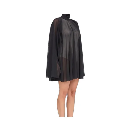 Semi-Sheer Mini Dress