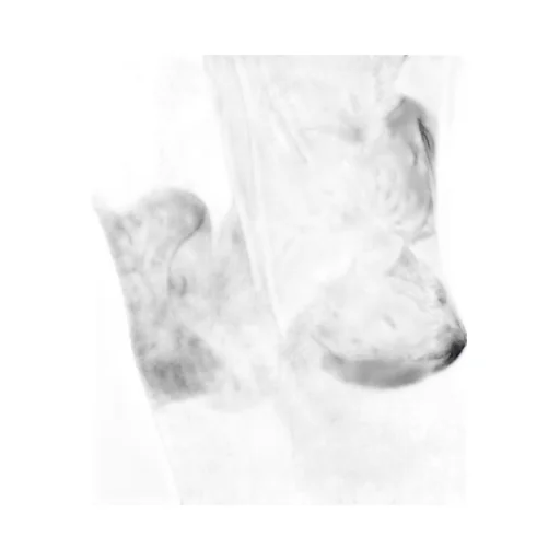 Off-White Botanical Printed Leggings