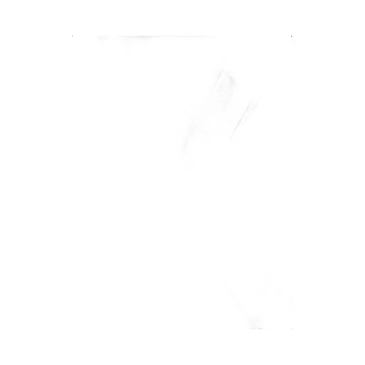 Logo Brands Swimsuit