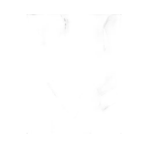 Valentino	Pussy-Bow Long-Sleeved Shirt