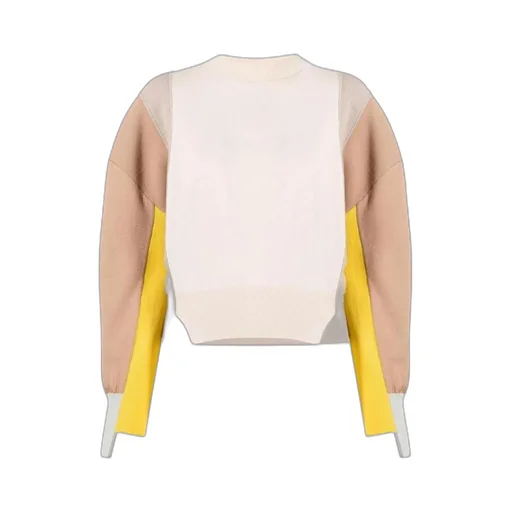 Stella Mccartney Panelled Crewneck Jumper