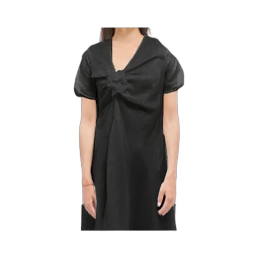 Pleated Dress