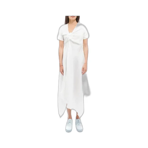 Pleated Dress