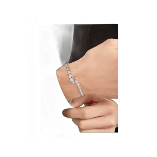 Snake Set With Diamond Bracelet