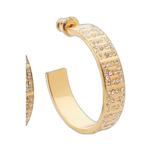 Gold-Coloured Earrings