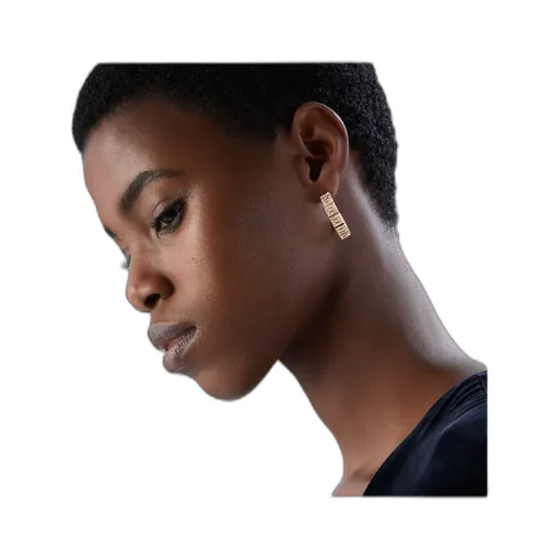 Gold-Coloured Earrings