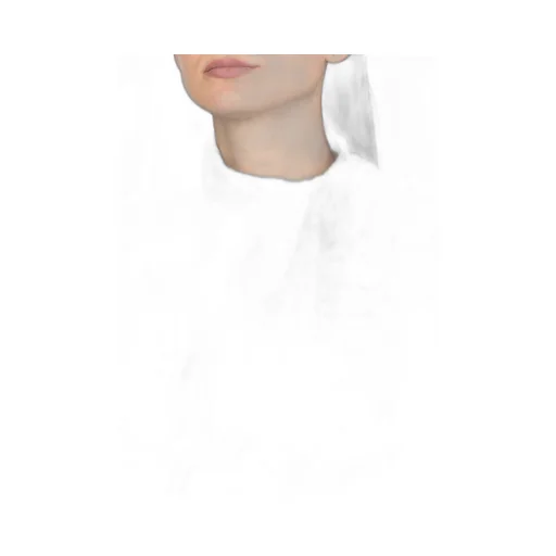 Bow Tie Shirt