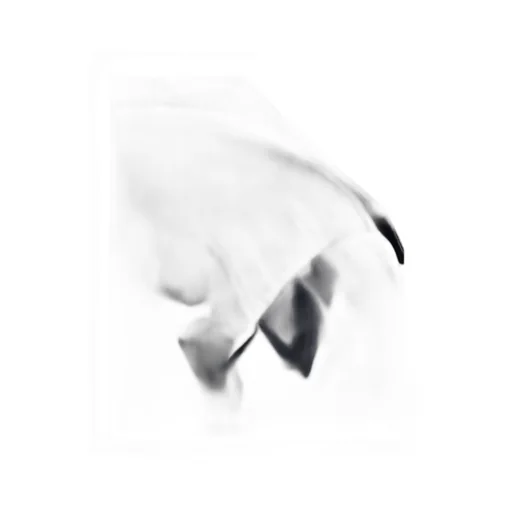Prada Cropped Compact Poplin Down Jacket
