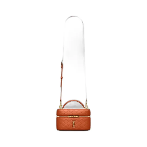 Saint Laurent Gaby Vanity Handbag