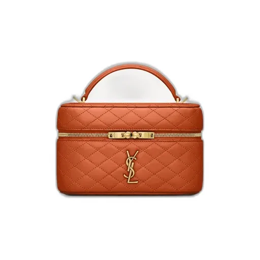 Saint Laurent Gaby Vanity Handbag