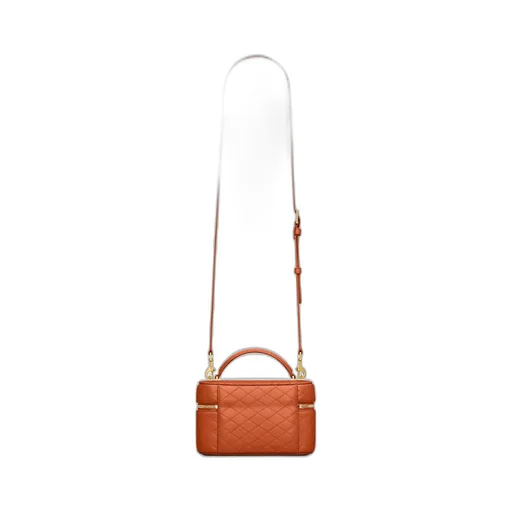Saint Laurent Gaby Vanity Handbag