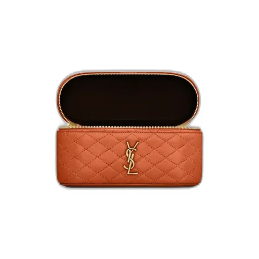 Saint Laurent Gaby Vanity Handbag