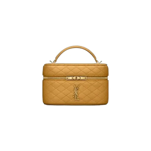 Saint Laurent Gaby Vanity Bag