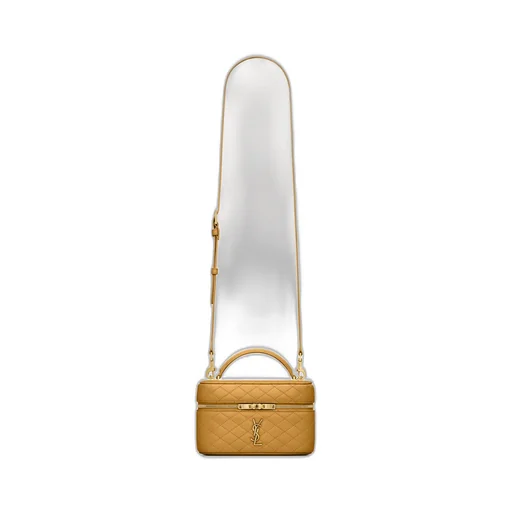 Saint Laurent Gaby Vanity Bag