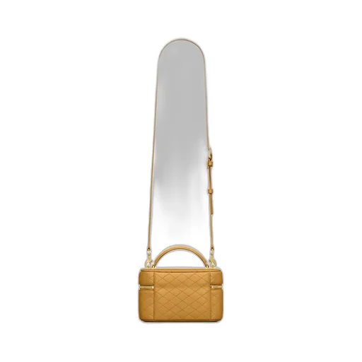 Saint Laurent Gaby Vanity Bag