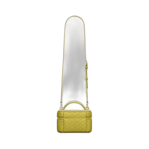 Saint Laurent Gaby Vanity Bag
