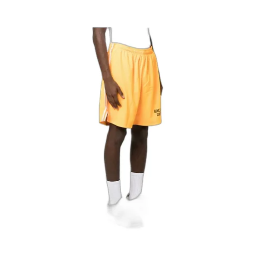 Gallery Dept. Venice Side Striped Shorts