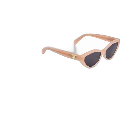 Triomphe 17 Sunglasses In Acetate