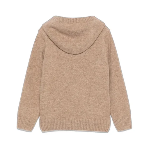 Hooded Wool Sweater