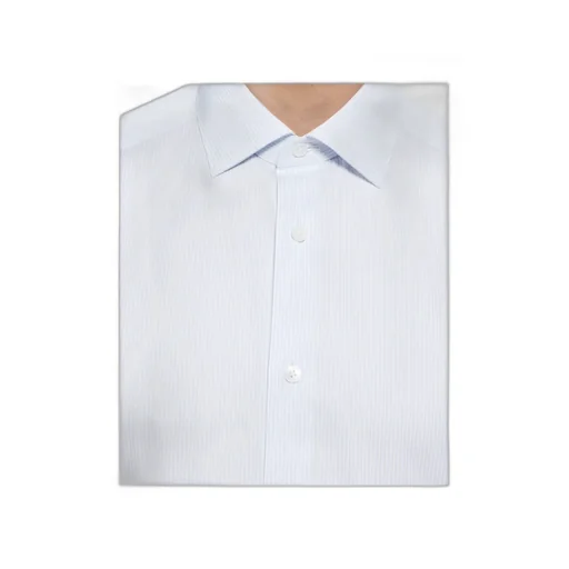 Light Blue And White Micro-Striped Trecapi Cotton Shirt