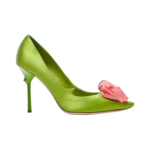 Roger Vivier Floral-Appliqu Pumps