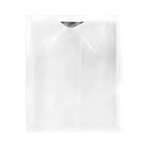 Prada Long Sleeved Buttoned Shirt
