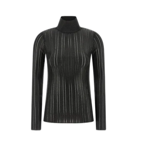 Elisabetta Franchi Long-Sleeved Roll-Neck Jumper