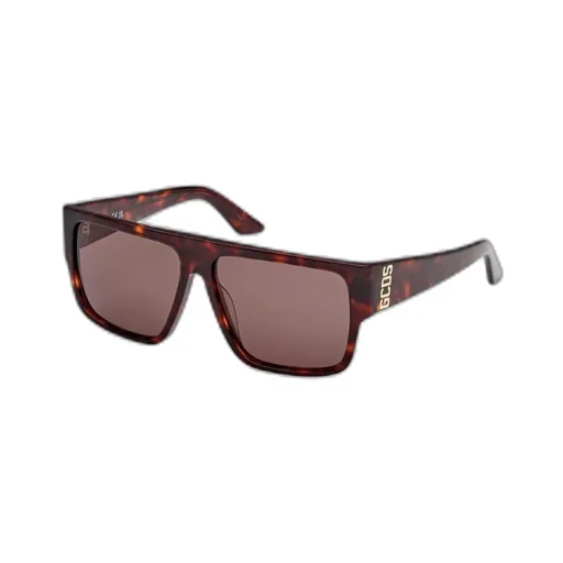 Logo Temple Sunglasses
