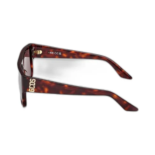 Logo Temple Sunglasses