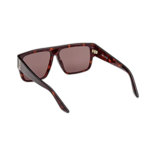 Logo Temple Sunglasses