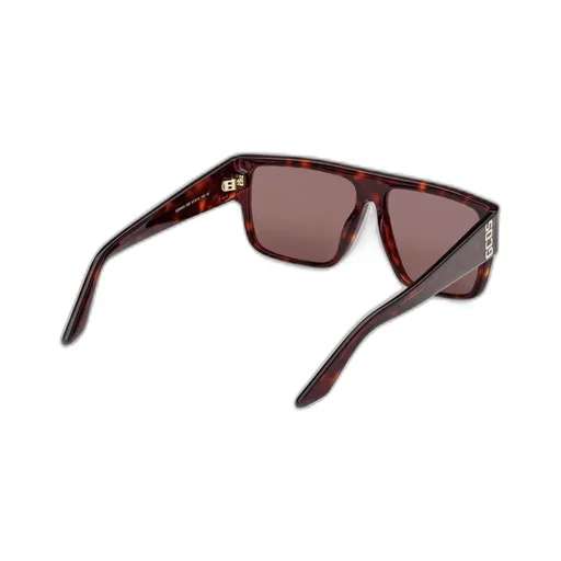 Logo Temple Sunglasses