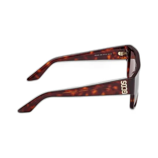 Logo Temple Sunglasses