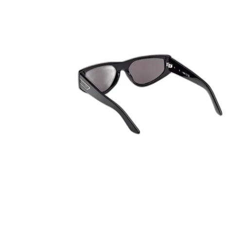 Logo Temple Sunglasses