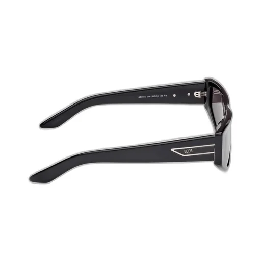 Logo Temple Sunglasses
