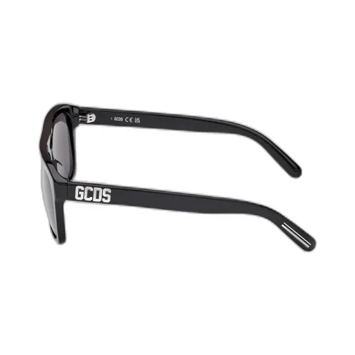 Logo Temple Sunglasses