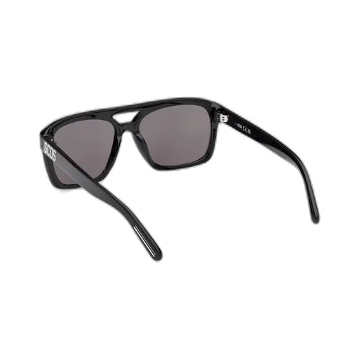 Logo Temple Sunglasses