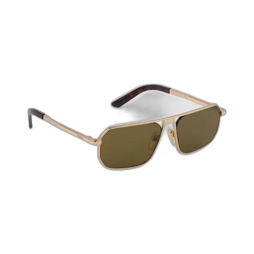 Sunglasses with iconic metal plaque