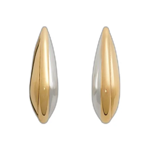 Small Fin Earrings