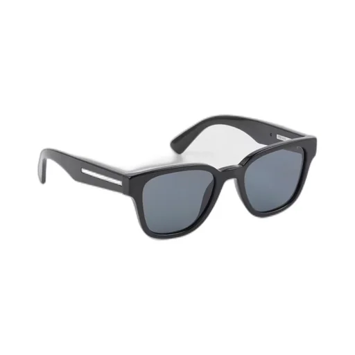 Sunglasses with iconic metal plaque