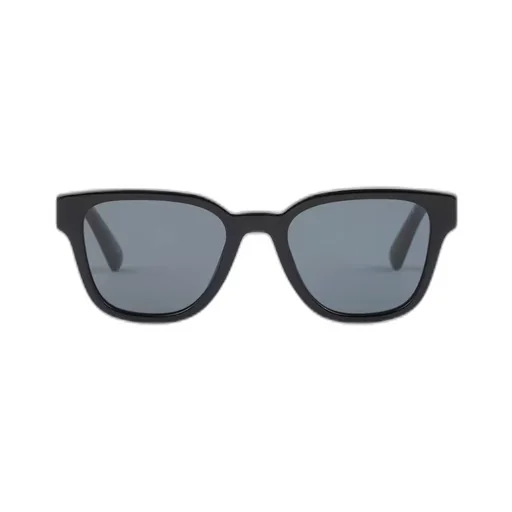 Sunglasses with iconic metal plaque
