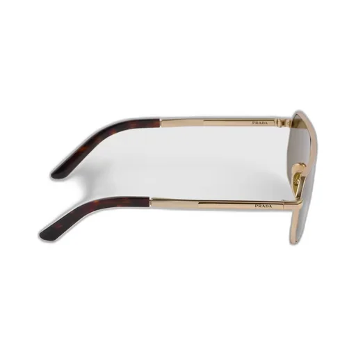 Sunglasses with iconic metal plaque