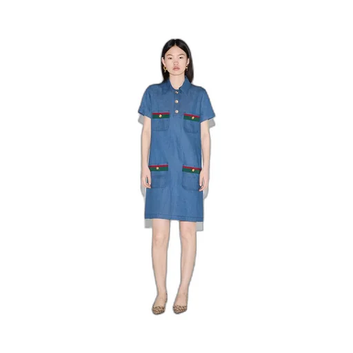 Denim dress with Web detail