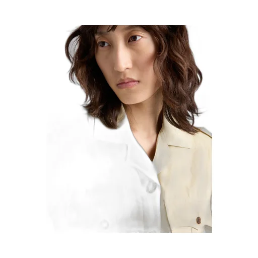 Poplin mini-dress