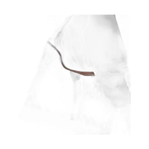 Ophidia GG medium shoulder bag