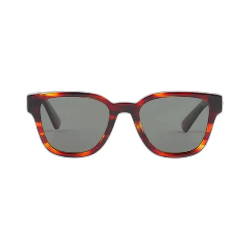 Sunglasses with iconic metal plaque