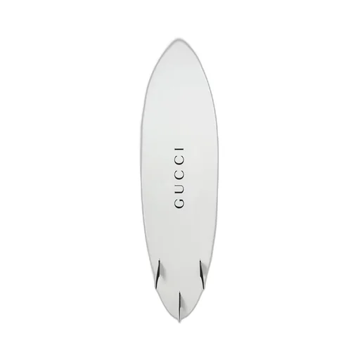 Web surfboard