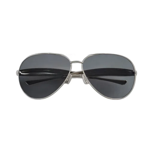 Sardine Aviator Sunglasses
