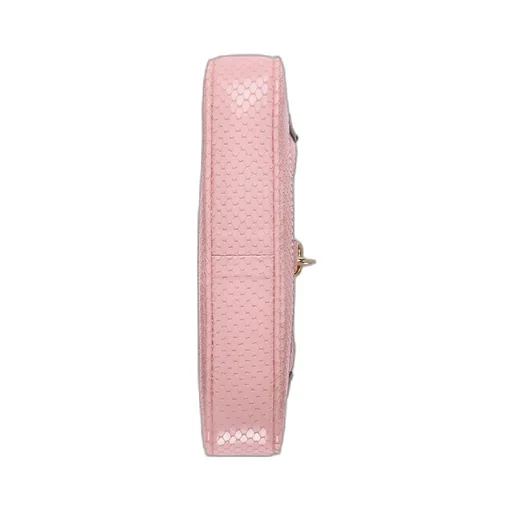 Gucci Jackie Notte python mini bag