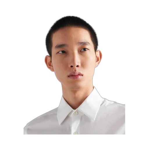 Stretch cotton shirt