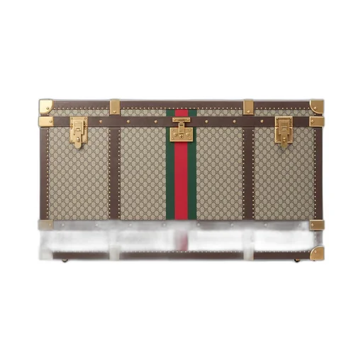 Gucci Savoy trunk
